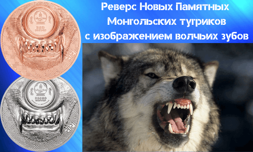 Avers Pamyatnyh Monet Mongolii Volk 2021 goda 25000, 2000, 250 tugrikov