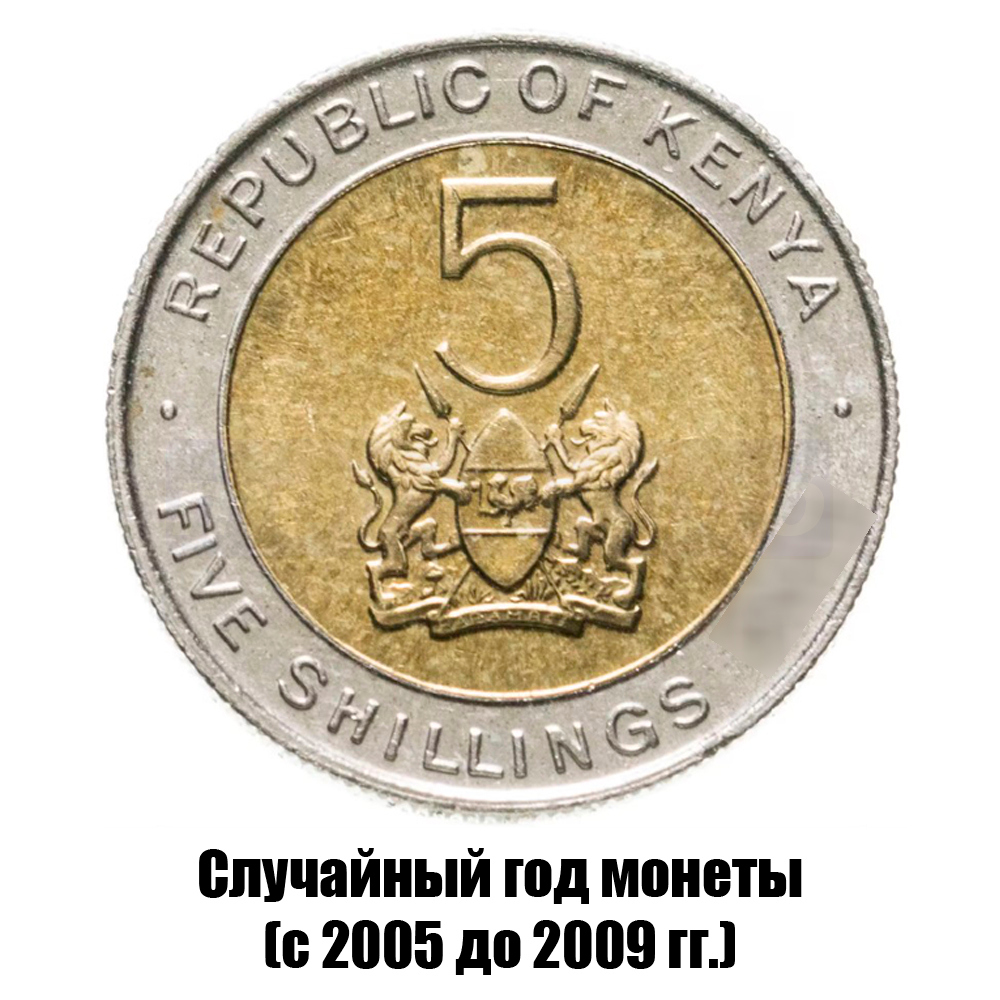 кения 5 шиллингов 2005-2009 гг., фото 