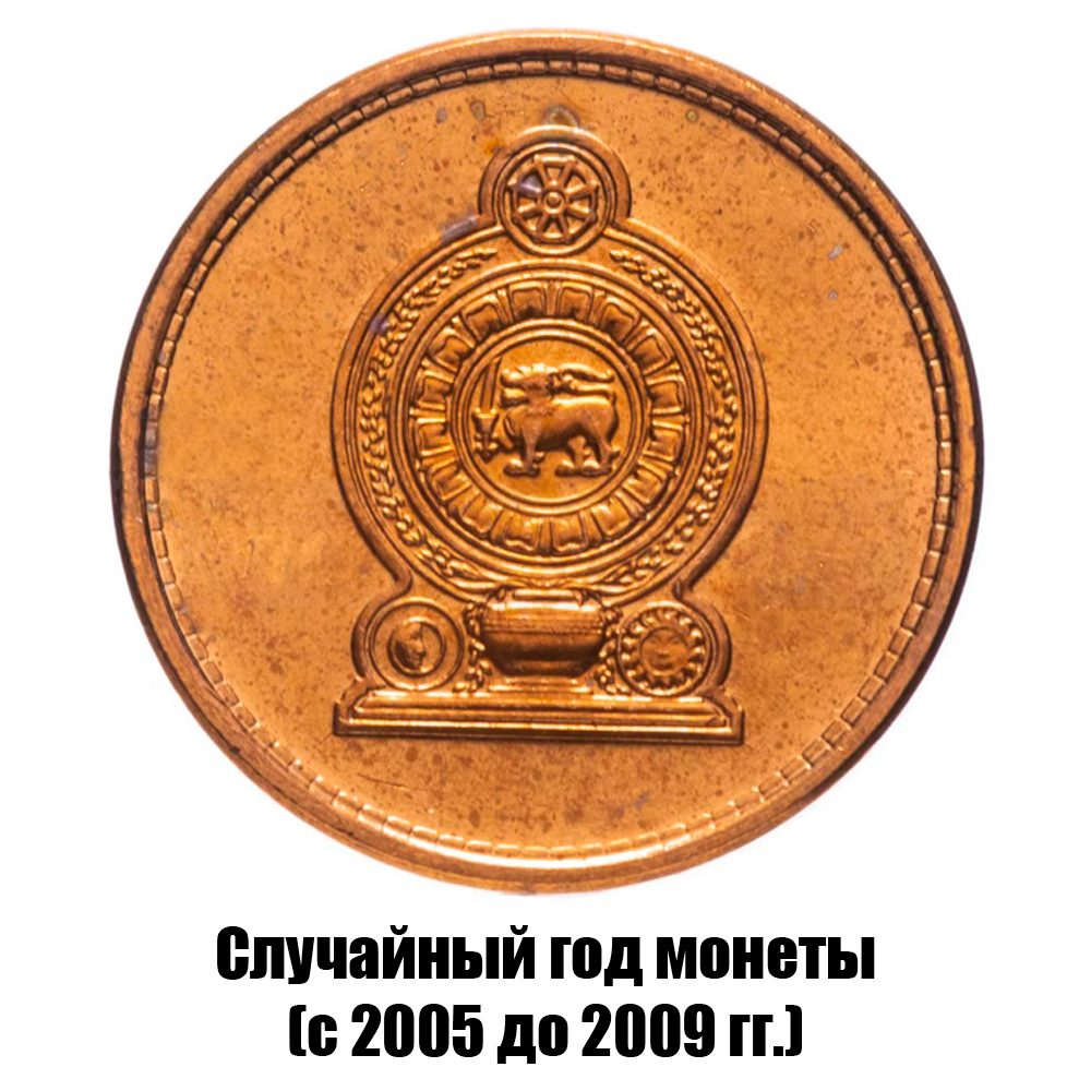 шри-Ланка 25 центов 2005-2009 гг., фото , изображение 2
