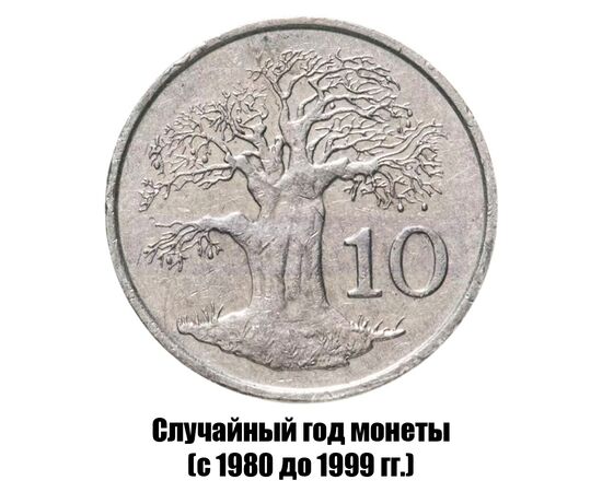 зимбабве 10 центов 1980-1999 гг., фото 