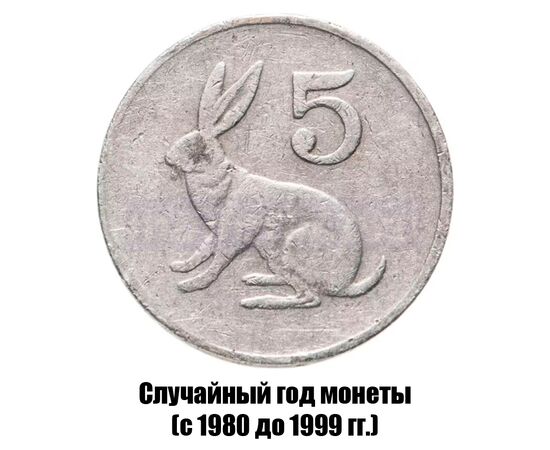 зимбабве 5 центов 1980-1999 гг., фото 