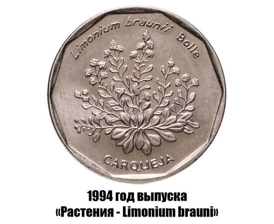 кабо-Верде 20 эскудо 1994 г. Растения - Limonium braunii, фото 