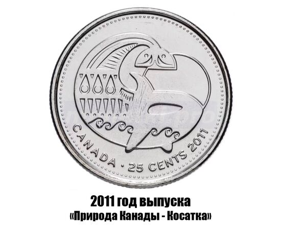 канада 25 центов 2011 г., Природа Канады - Косатка, фото 