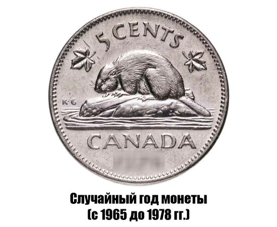 канада 5 центов 1965-1978 гг., фото 