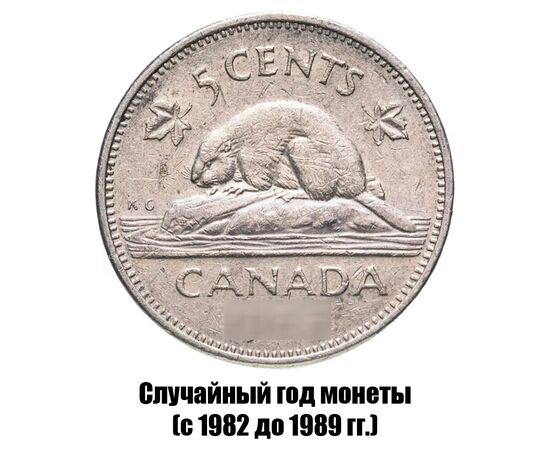 канада 5 центов 1982-1989 гг., фото 