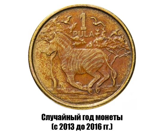 ботсвана 1 пула 2013-2016 гг., фото 