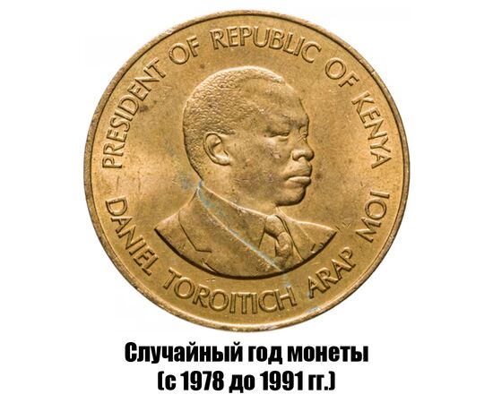 кения 10 центов 1978-1991 гг., фото , изображение 2