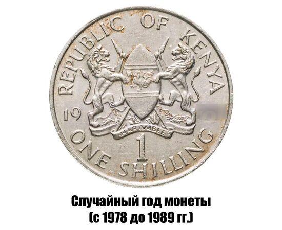кения 1 шиллинг 1978-1989 гг., фото 