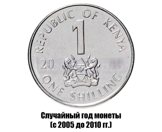 кения 1 шиллинг 2005-2010 гг., фото 