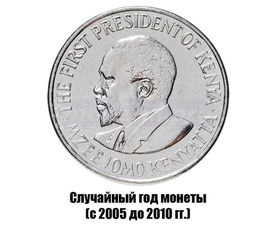 кения 1 шиллинг 2005-2010 гг., фото , изображение 2