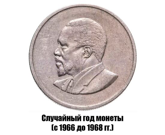 кения 50 центов 1966-1968 гг., фото , изображение 2