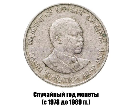 кения 50 центов 1978-1989 гг., фото , изображение 2