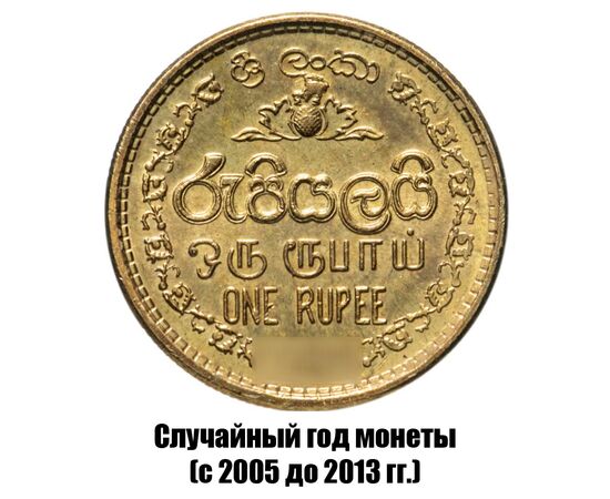 шри-Ланка 1 рупия 2005-2013 гг., фото 