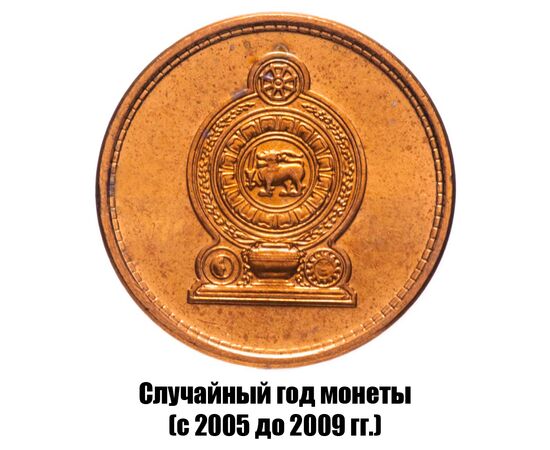 шри-Ланка 25 центов 2005-2009 гг., фото , изображение 2