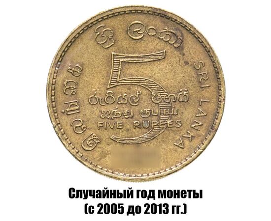шри-Ланка 5 рупий 2005-2013 гг., фото 