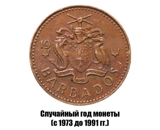 барбадос 1 цент 1973-1991 гг., фото , изображение 2