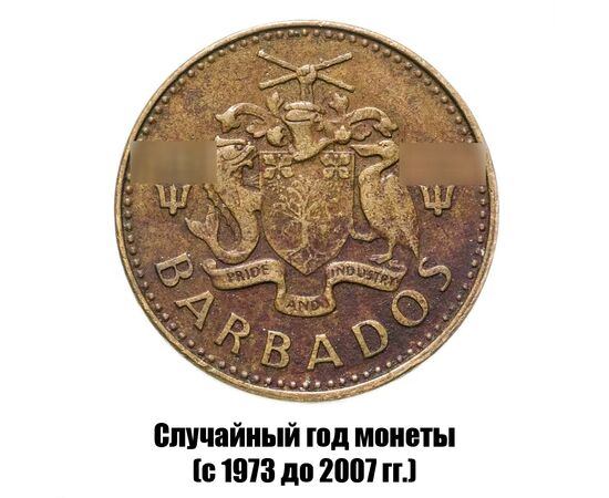 барбадос 5 центов 1973-2007 гг., фото , изображение 2