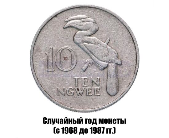 замбия 10 нгве 1968-1987 гг., фото 